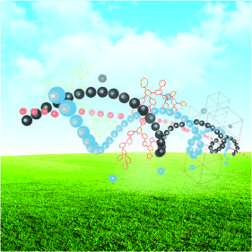 研發服務檢測項目