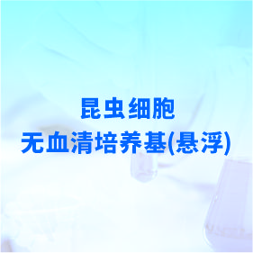 昆蟲細胞無血清培養(yǎng)基(懸浮)